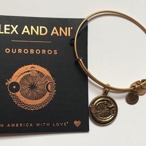 Alex and Ani Ourboros Charm Bracelet